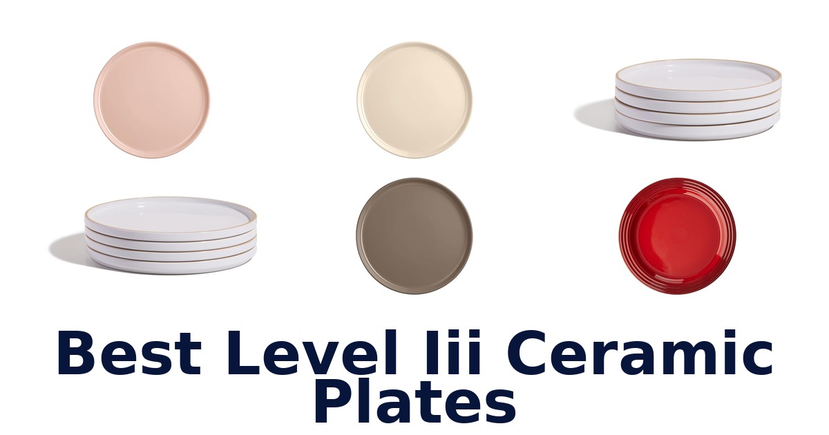 BEST Level III Ceramic Plates: Top 5 Picks