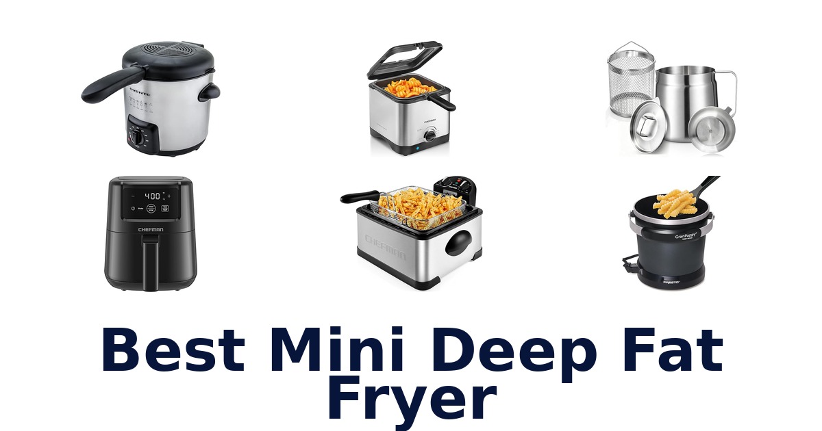 best mini deep fat fryer