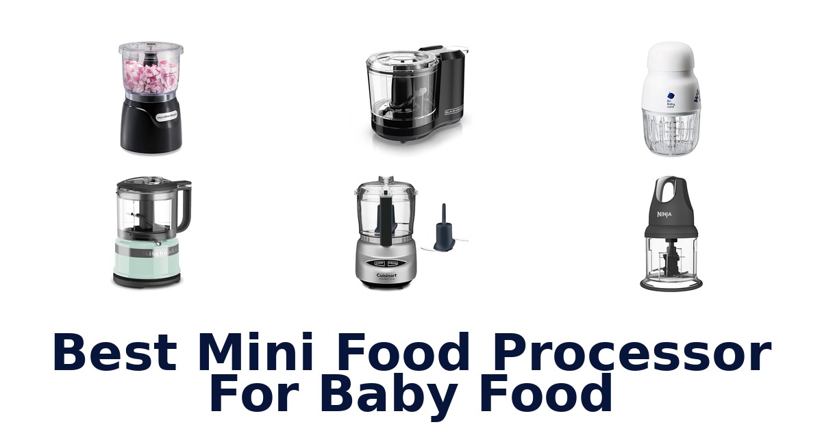 best mini food processor for baby food