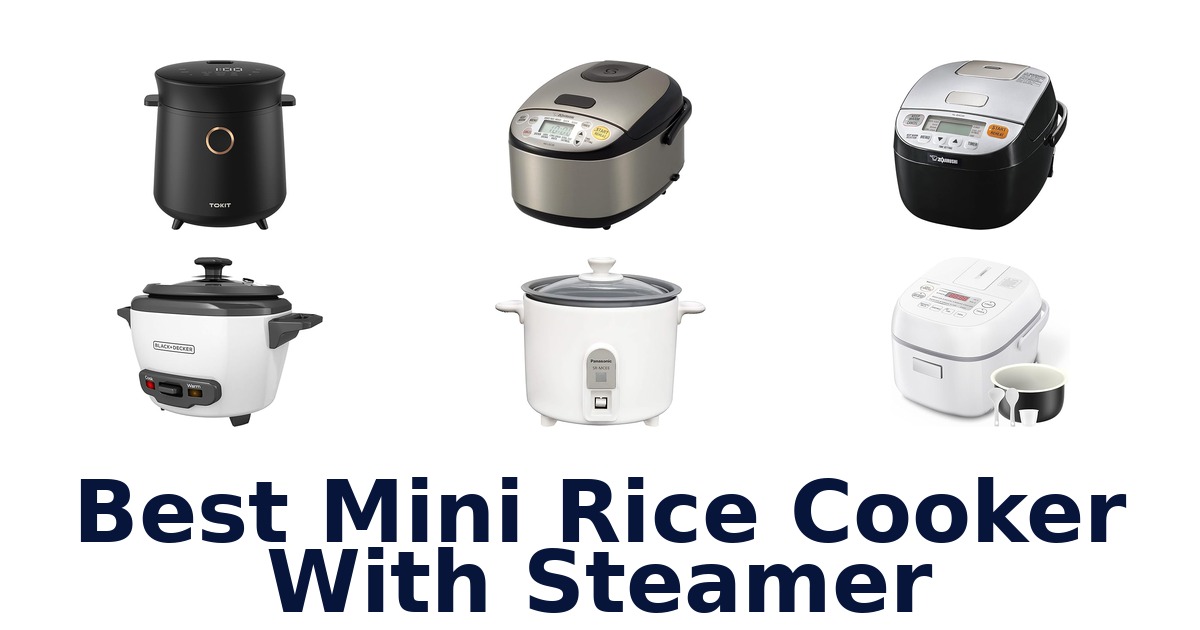 best mini rice cooker with steamer