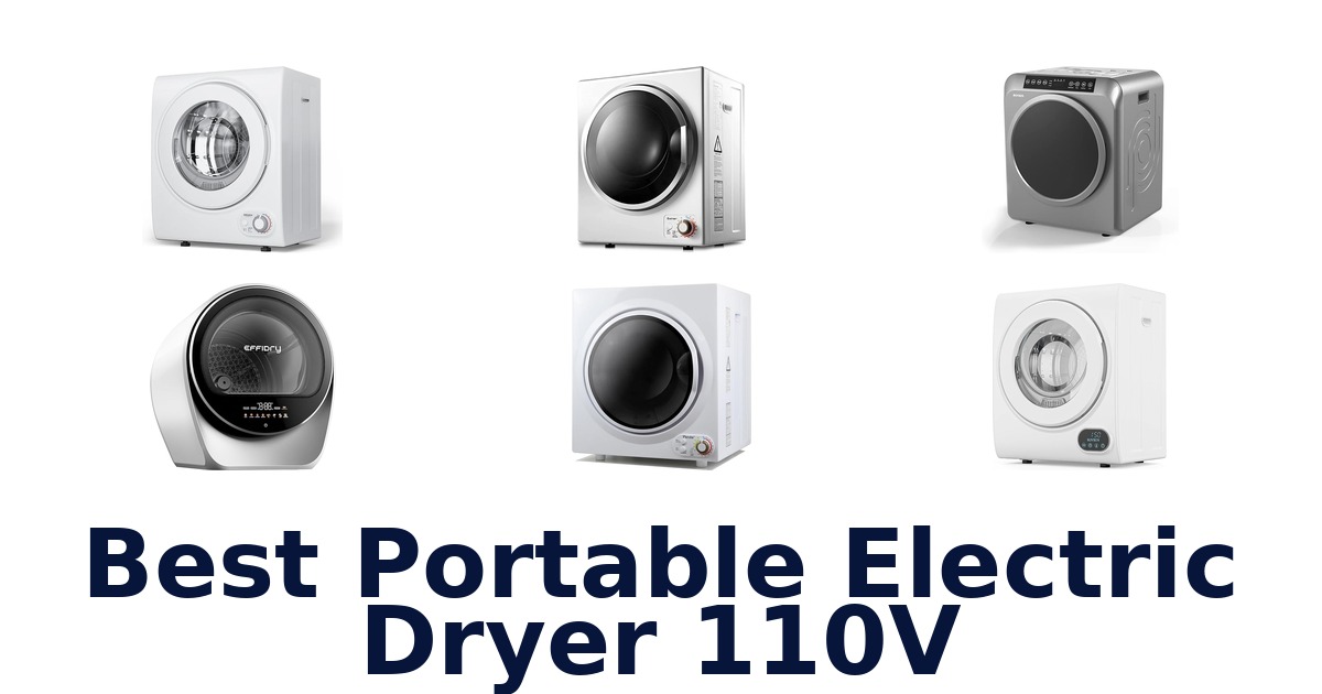 best portable electric dryer 110v