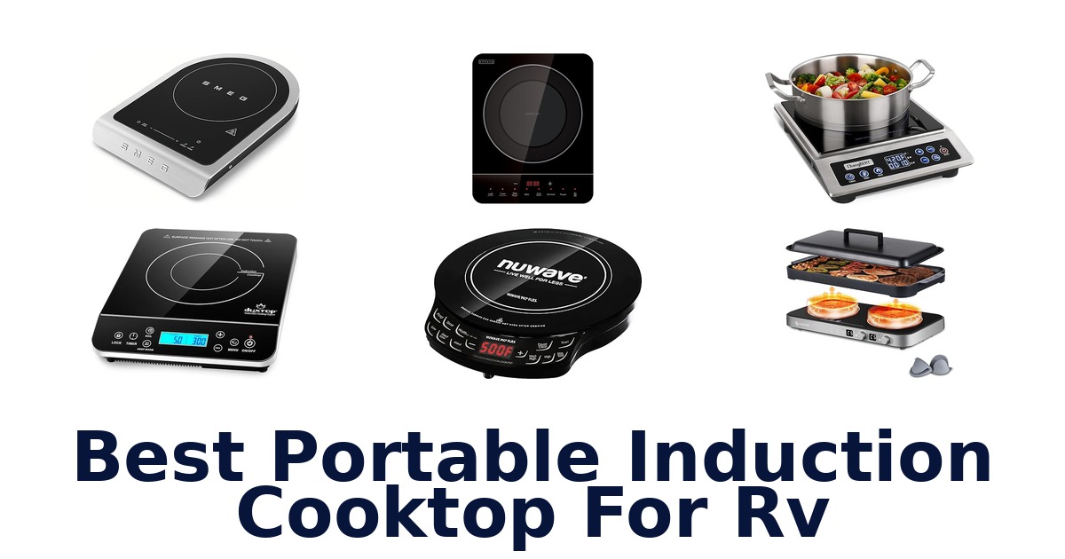 best portable induction cooktop for rv