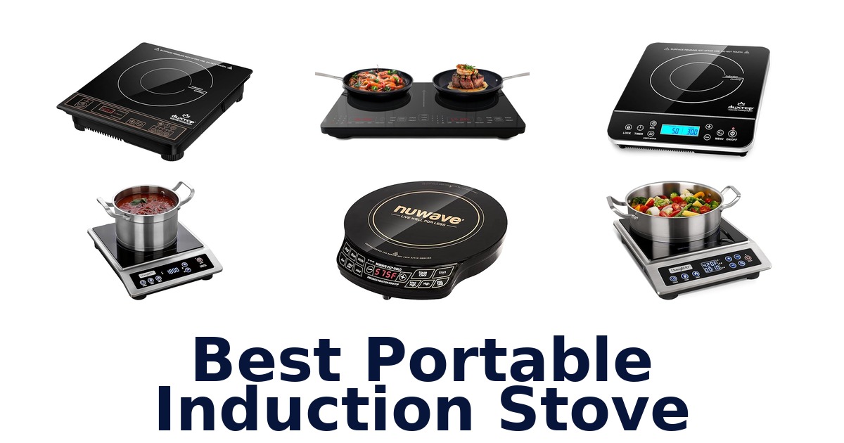 best portable induction stove