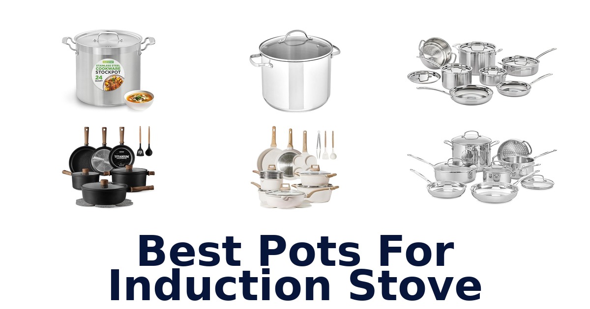 best pots for induction stove
