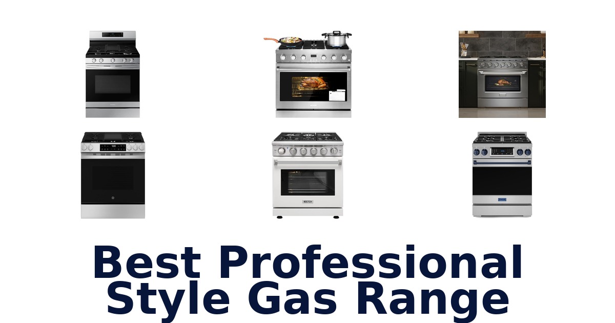 best professional style gas range