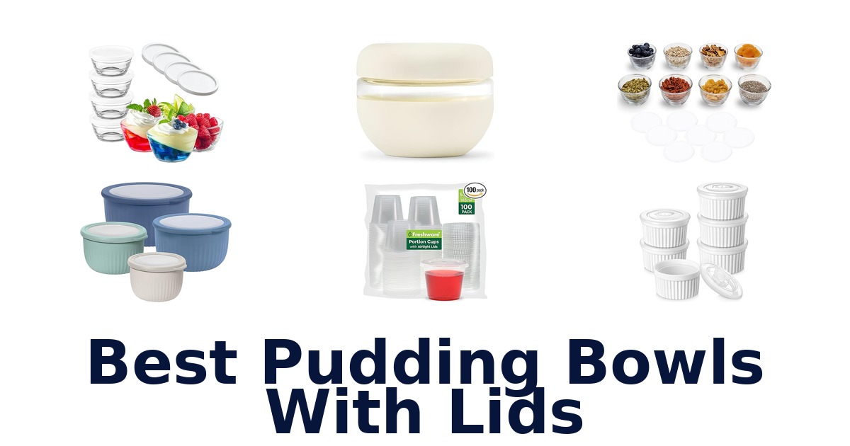 best pudding bowls with lids
