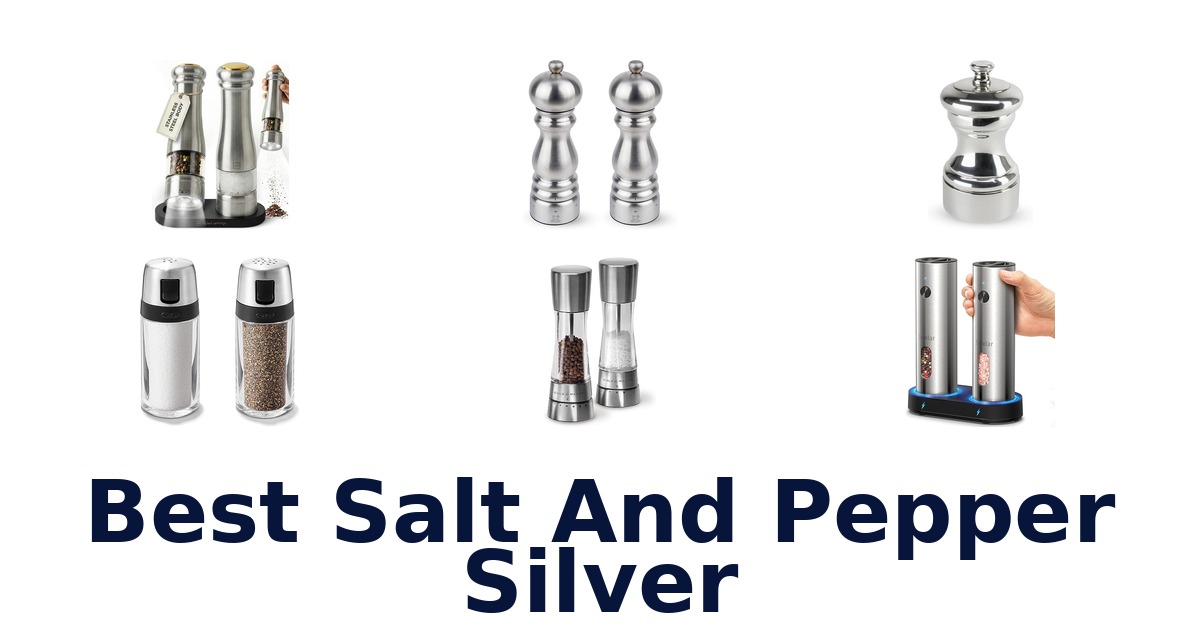 best salt and pepper silver
