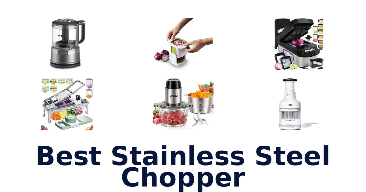 best stainless steel chopper