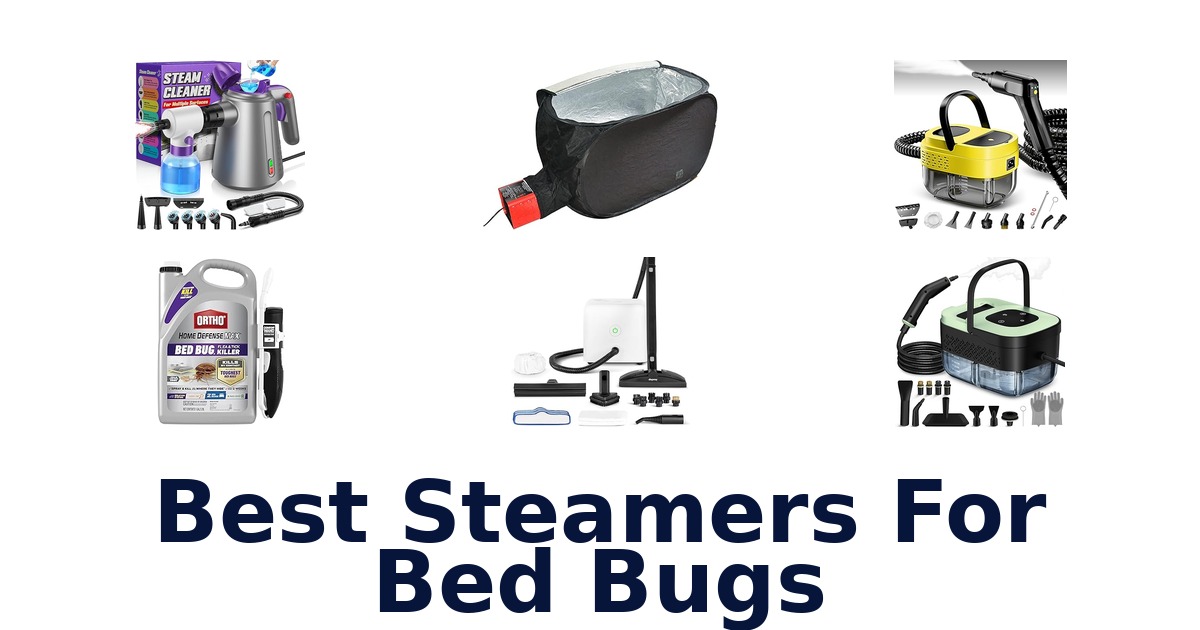 best steamers for bed bugs