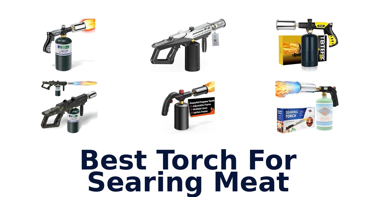 best torch for searing meat