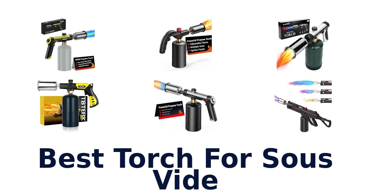 best torch for sous vide