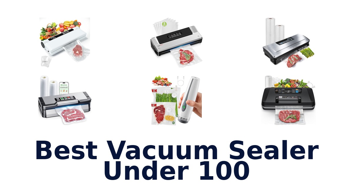 best vacuum sealer under 100