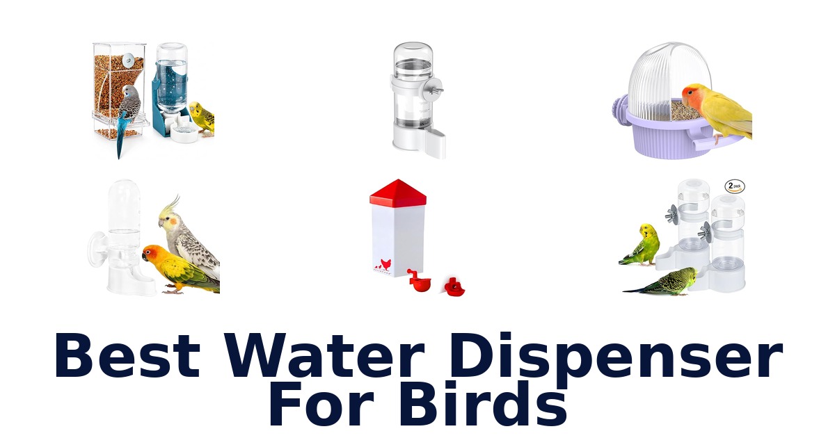 Best Water Dispensers for Birds: Top 10 Picks